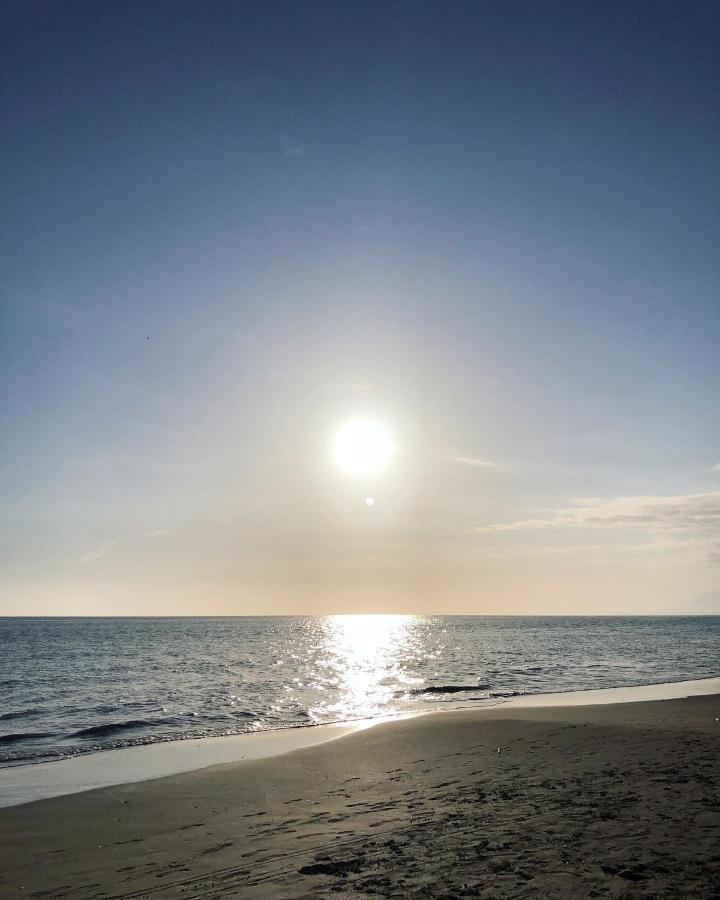 מארבלה Two-Room Apartment In Elviria Near The Beach With Parking מראה חיצוני תמונה