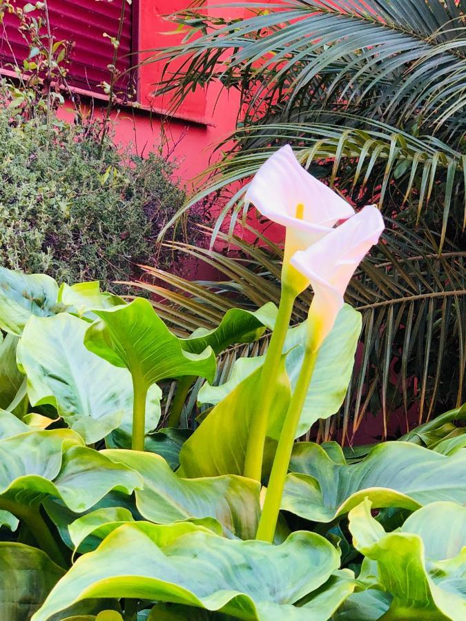 מארבלה Two-Room Apartment In Elviria Near The Beach With Parking מראה חיצוני תמונה